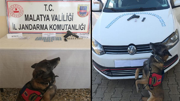 Malatyada uyuşturucuyla yakalanan 2 kişi gözaltına alındı