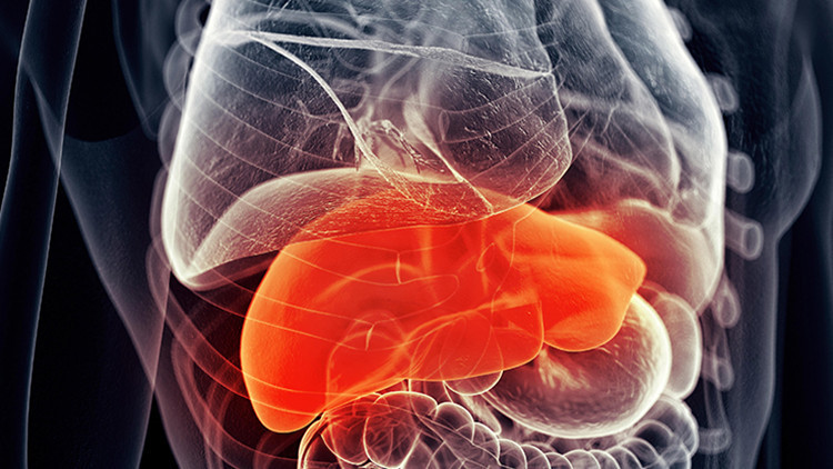 Karaciğer yağlanması kalbi vuruyor Karaciğer yağlanması kalbi vuruyor