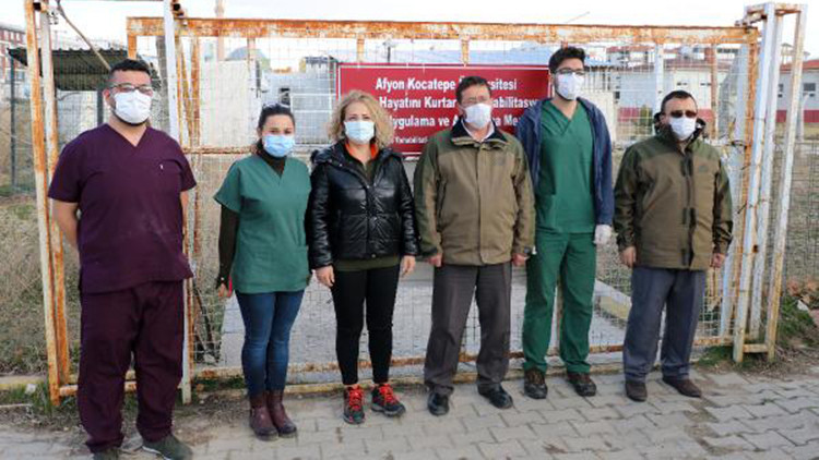 Afyonkarahisarda tedavisi tamamlanan bayağı şahin ve kızıl tilki doğaya salındı