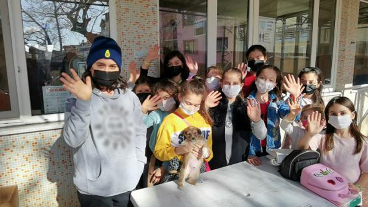 Çocuklar, sokak hayvanları için kolları sıvadı