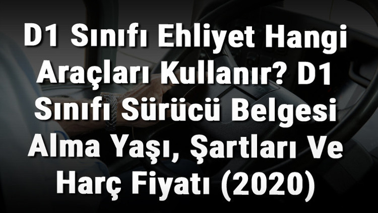 D1 Sınıfı Ehliyet Hangi Araçları Kullanır D1 Sınıfı Sürücü Belgesi Alma Yaşı, Şartları Ve Harç Fiyatı (2020)