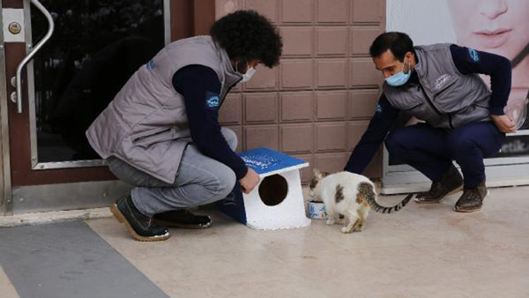 Başakşehir’de Dünya Kediler Günü’nde sevimli dostlar unutulmadı