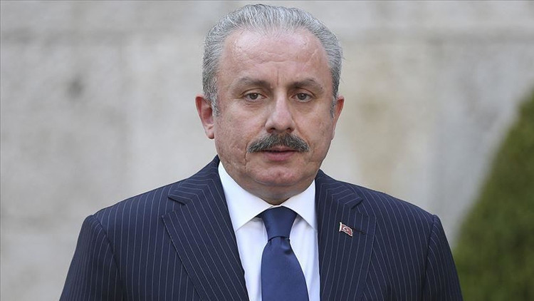 Meclis Başkanı Şentoptan yeni Anayasa açıklaması