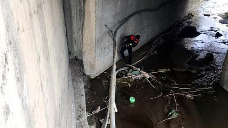 Karabükte köprüden dereye düşen köpek yavrularını itfaiye ekipleri kurtardı Karabükte köprüden dereye düşen köpek yavrularını itfaiye ekipleri kurtardı