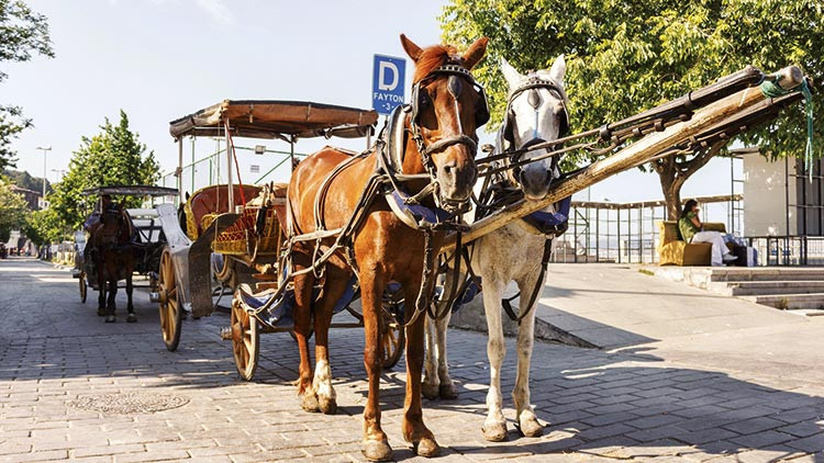 Faytonlar kalktı, atların çilesi bitmedi