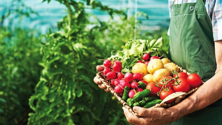Bir ürünün organik olduğunun en iyi göstergesi sahip olduğu sertifikadır Bir ürünün organik olduğunun en iyi göstergesi sahip olduğu sertifikadır