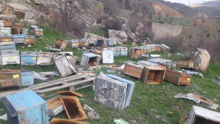 Hakkaride kış uykusunda uyanan ayılar, 150 kovana zarar verdi