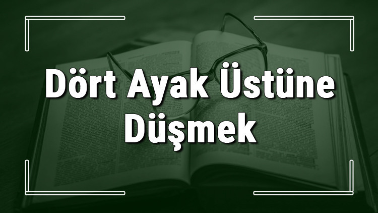 Dört Ayak Üstüne Düşmek deyiminin anlamı ve örnek cümle içinde kullanımı (TDK)