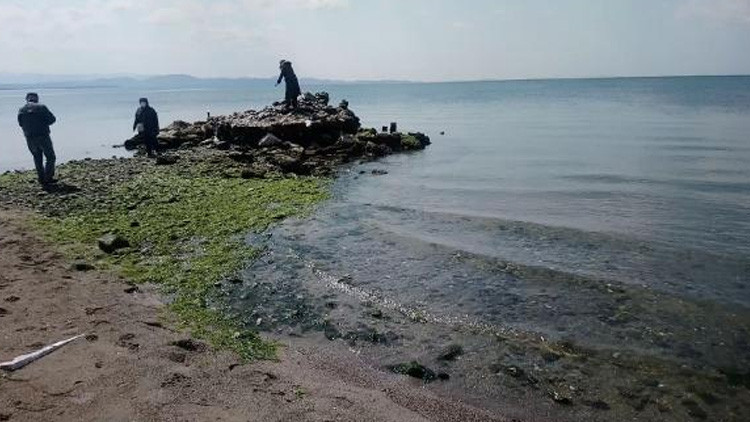 Yüzerek gidilen kayalıklara, sular çekilince yürüyerek çıktılar