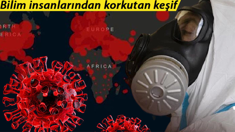 Bilim insanlarından korkutan keşif: Keşfedilmemiş 1.7 milyon virüs var Bilim insanlarından korkutan keşif: Keşfedilmemiş 1.7 milyon virüs var