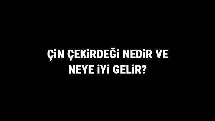 Çin Çekirdeği Nedir Ve Neye İyi Gelir Çin Çekirdeği Faydaları