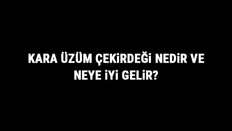 Kara Üzüm Çekirdeği Nedir Ve Neye İyi Gelir Kara Üzüm Çekirdeği Faydaları