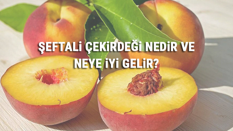 Şeftali Çekirdeği Nedir Ve Neye İyi Gelir? Şeftali Çekirdeği Faydaları