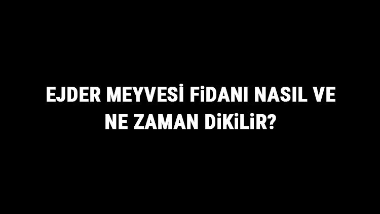 Ejder Meyvesi Fidanı Nasıl Ve Ne Zaman Dikilir Ejder Meyvesi Fidanı Yetiştirme, Bakımı Ve Fiyatları