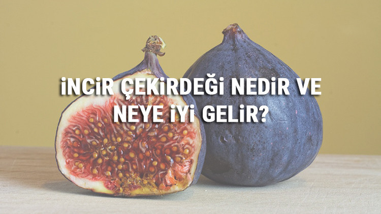İncir Çekirdeği Nedir Ve Neye İyi Gelir İncir Çekirdeği Faydaları
