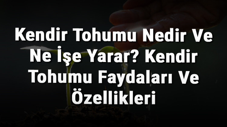 Kendir Tohumu Nedir Ve Ne İşe Yarar Kendir Tohumu Faydaları Ve Özellikleri Kendir Tohumu Nedir Ve Ne İşe Yarar Kendir Tohumu Faydaları Ve Özellikleri