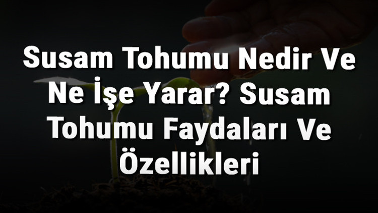 Susam Tohumu Nedir Ve Ne İşe Yarar Susam Tohumu Faydaları Ve Özellikleri Susam Tohumu Nedir Ve Ne İşe Yarar Susam Tohumu Faydaları Ve Özellikleri