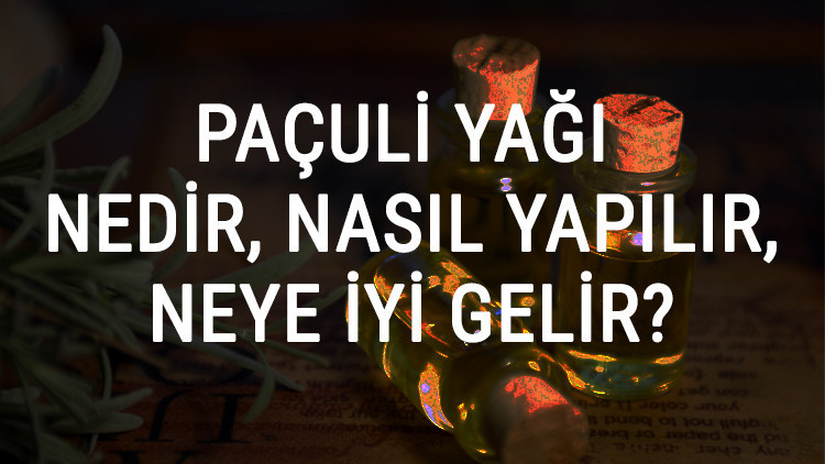 Paçuli Yağı Nedir, Nasıl Yapılır Ve Neye İyi Gelir Paçuli Yağı Faydaları Ve Kullanımı