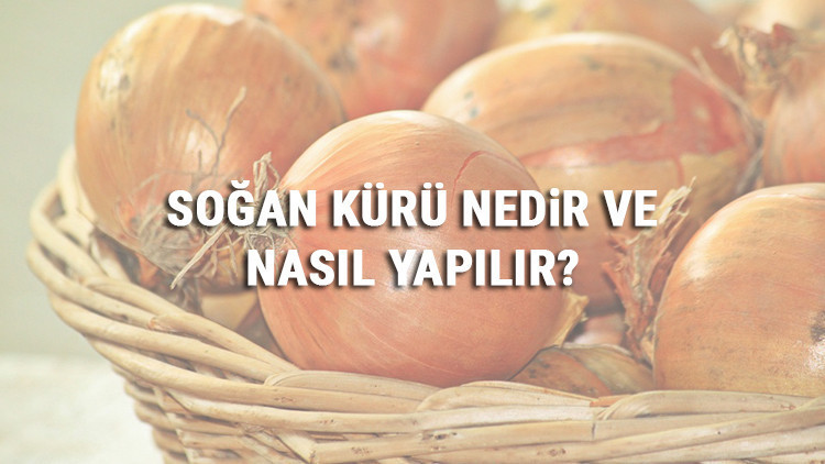 Soğan Kürü Nedir Ve Nasıl Yapılır? Soğan Kürü Faydaları Ve Tarifi