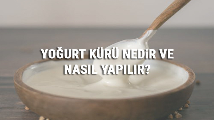 Yoğurt Kürü Nedir Ve Nasıl Yapılır Yoğurt Kürü Faydaları Ve Tarifi
