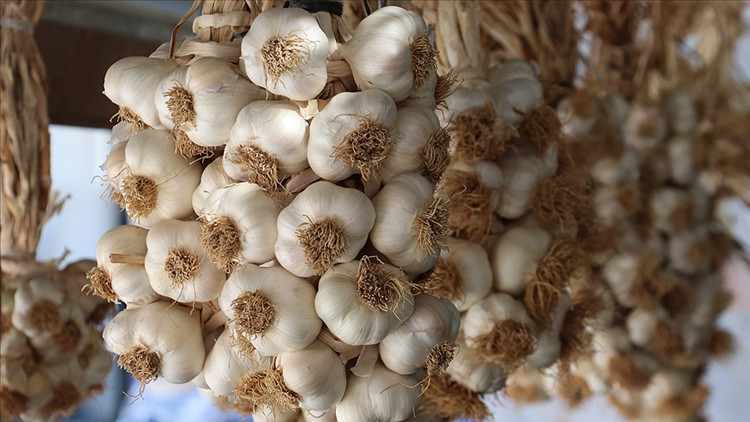 Türkiyenin ABde tescilli coğrafi işareti 7ye çıktı Türkiyenin ABde tescilli coğrafi işareti 7ye çıktı
