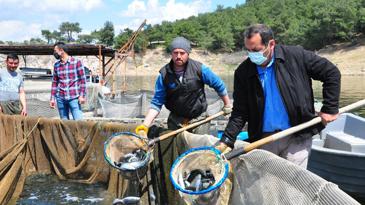 Denizi olmayan şehirde üretiliyor Tüm dünyaya ihraç ediliyor Denizi olmayan şehirde üretiliyor Tüm dünyaya ihraç ediliyor