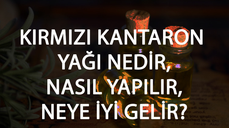 Kırmızı Kantaron Yağı Nedir, Nasıl Yapılır Ve Neye İyi Gelir Kırmızı Kantaron Yağı Faydaları Ve Kullanımı