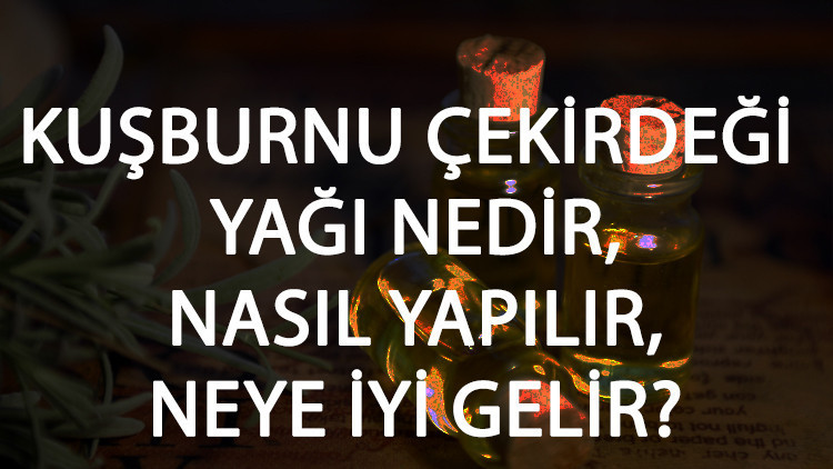 Kuşburnu Çekirdeği Yağı Nedir, Nasıl Yapılır Ve Neye İyi Gelir Kuşburnu Çekirdeği Yağı Faydaları Ve Kullanımı