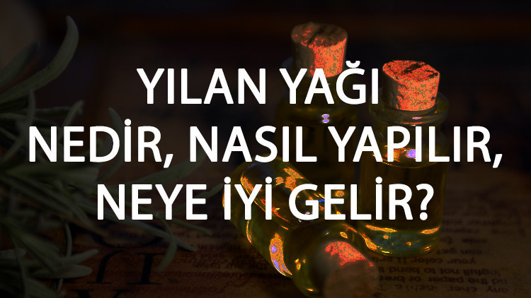 Yılan Yağı Nedir, Nasıl Yapılır Ve Neye İyi Gelir? Yılan Yağı Faydaları Ve Kullanımı