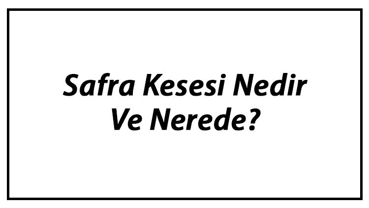 Safra Kesesi Nedir Ve Nerede Safra Kesesi Ne İşe Yarar Ve Görevleri Hakkında Bilgi Safra Kesesi Nedir Ve Nerede Safra Kesesi Ne İşe Yarar Ve Görevleri Hakkında Bilgi