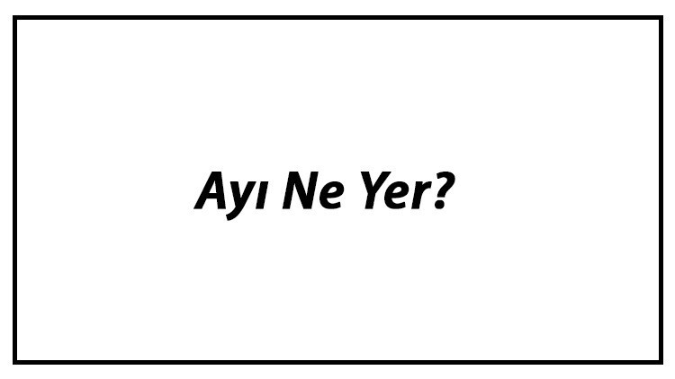 Ayı Ne Yer Yavru Ayılar Nasıl Beslenir Ve Ayıların En Çok Sevdiği Besinler Neler Ayı Ne Yer Yavru Ayılar Nasıl Beslenir Ve Ayıların En Çok Sevdiği Besinler Neler