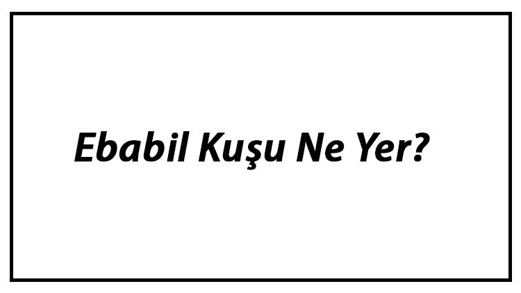 Ebabil Kuşu Ne Yer Ebabil Kuşları Nasıl Beslenir Ve En Çok Sevdiği Besinler Neler