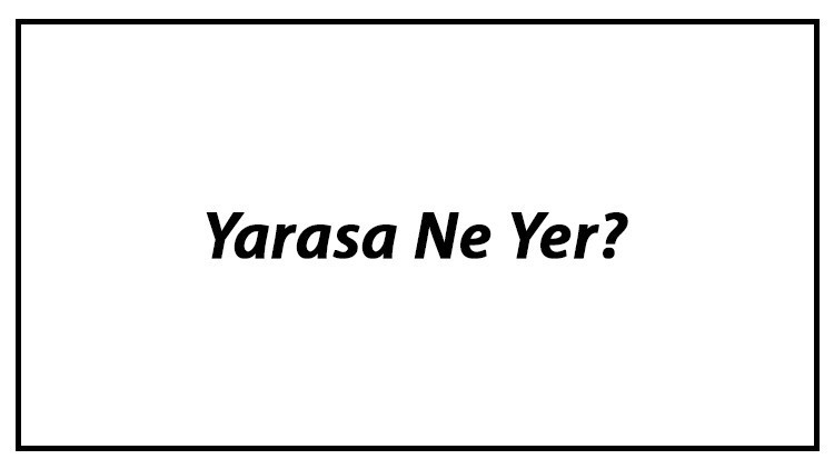 Yarasa Ne Yer Yarasalar Nasıl Beslenir Ve En Çok Sevdiği Besinler Neler