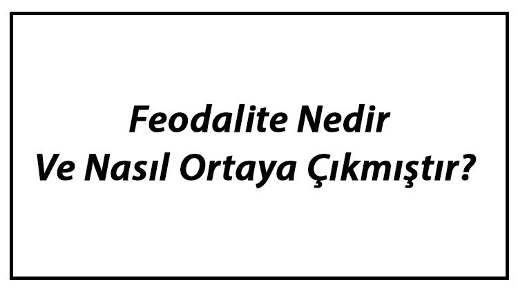 Feodalite Nedir Ve Nasıl Ortaya Çıkmıştır Feodalite Özellikleri Hakkında Bilgi