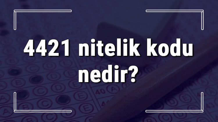 4421 nitelik kodu nedir KPSS 4421 nitelik kodu özel şartı ne işe yarar 4421 nitelik kodu nedir KPSS 4421 nitelik kodu özel şartı ne işe yarar