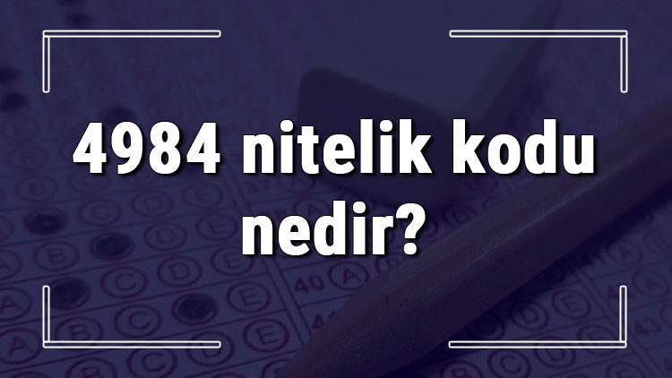 4984 nitelik kodu nedir KPSS 4984 nitelik kodu özel şartı ne işe yarar