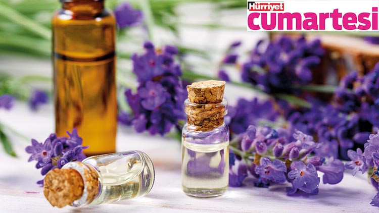 Alerji, bari sen bırak peşimizi