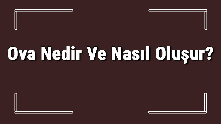 Ova Nedir Ve Nasıl Oluşur Ova Oluşabilmesi İçin Gerekli Koşullar Ve Türkiyedeki Ovalar