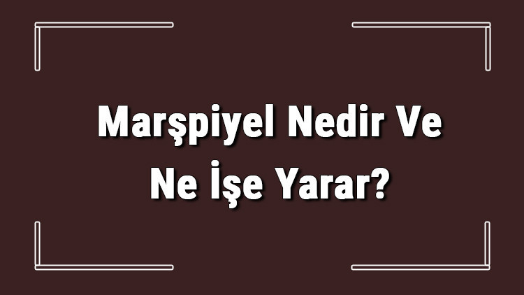 Marşpiyel Nedir Ve Ne İşe Yarar Marşpiyel Nerede Bulunur Marşpiyel Nedir Ve Ne İşe Yarar Marşpiyel Nerede Bulunur