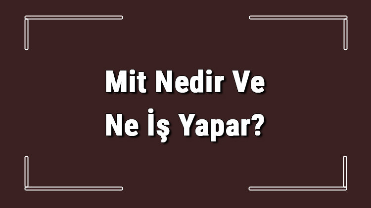 Mit Nedir Ve Ne İş Yapar Mit Çalışanı Nasıl Olunur Ve Şartları Neler