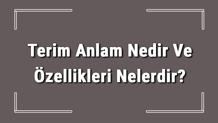 Terim Anlam Nedir Ve Özellikleri Nelerdir Terim Anlam Örnekleri İle Konu Anlatımı Terim Anlam Nedir Ve Özellikleri Nelerdir Terim Anlam Örnekleri İle Konu Anlatımı