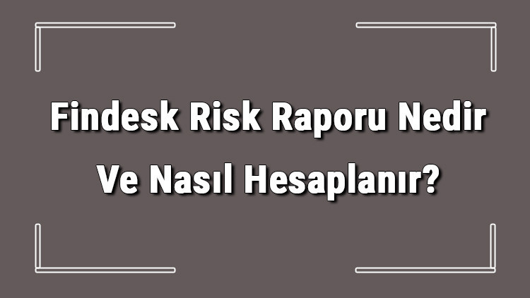 Findesk Risk Raporu Nedir Ve Nasıl Hesaplanır