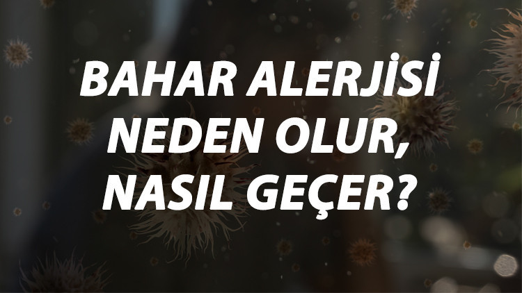 Bahar Alerjisi Nedir, Neden Olur Ve Nasıl Geçer Bahar Alerjisi Belirtileri Ve Tedavisi Hakkında Bilgi
