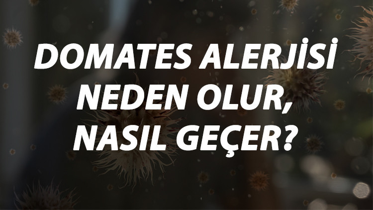 Domates Alerjisi Nedir, Neden Olur Ve Nasıl Geçer Domates Alerjisi Belirtileri Ve Tedavisi Hakkında Bilgi