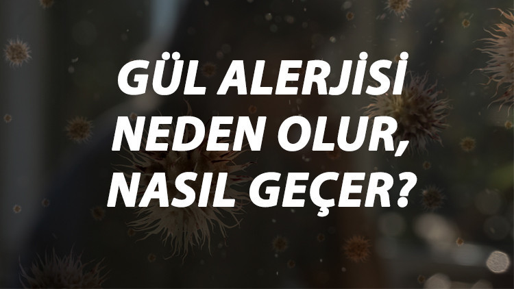 Gül Alerjisi Nedir, Neden Olur Ve Nasıl Geçer Gül Alerjisi Belirtileri Ve Tedavisi Hakkında Bilgi Gül Alerjisi Nedir, Neden Olur Ve Nasıl Geçer Gül Alerjisi Belirtileri Ve Tedavisi Hakkında Bilgi