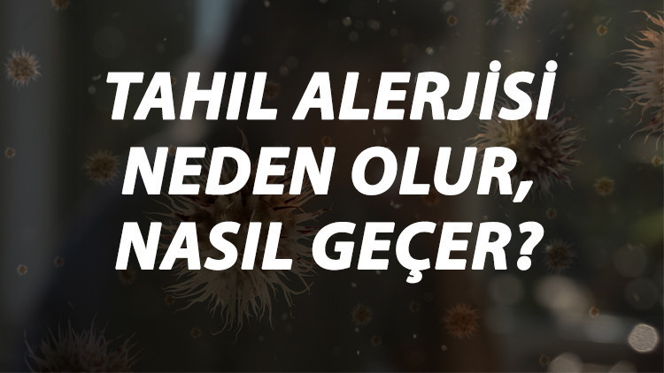 Tahıl Alerjisi Nedir, Neden Olur Ve Nasıl Geçer Tahıl Alerjisi Belirtileri Ve Tedavisi Hakkında Bilgi Tahıl Alerjisi Nedir, Neden Olur Ve Nasıl Geçer Tahıl Alerjisi Belirtileri Ve Tedavisi Hakkında Bilgi