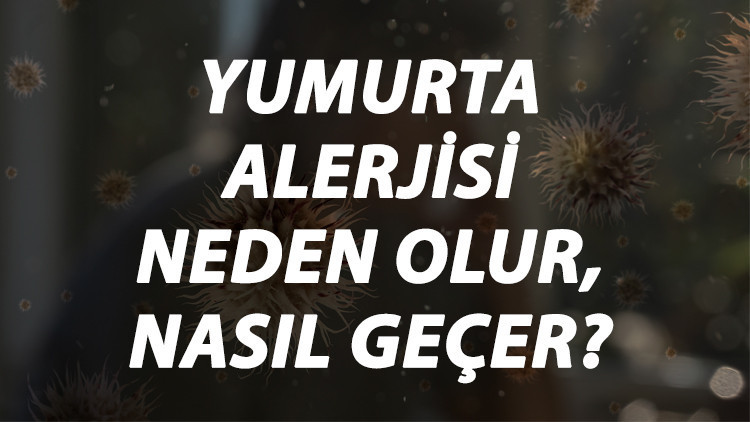 Yumurta Alerjisi Nedir, Neden Olur Ve Nasıl Geçer Yumurta Alerjisi Belirtileri Ve Tedavisi Hakkında Bilgi Yumurta Alerjisi Nedir, Neden Olur Ve Nasıl Geçer Yumurta Alerjisi Belirtileri Ve Tedavisi Hakkında Bilgi