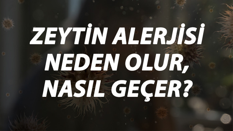 Zeytin Alerjisi Nedir, Neden Olur Ve Nasıl Geçer Zeytin Alerjisi Belirtileri Ve Tedavisi Hakkında Bilgi