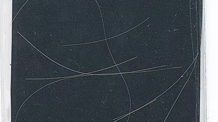 Ünlü sanatçının saçının tek bir teli 20 bin liraya satıldı