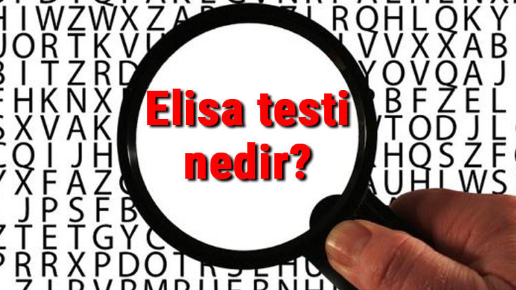 Elisa testi nedir ve ne işe yarar Elisa testi nasıl yapılır